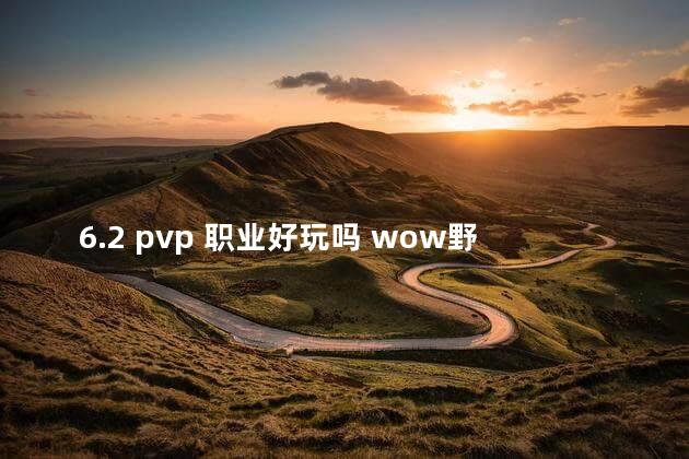 6.2 pvp 职业好玩吗 wow野外pvp最强职业